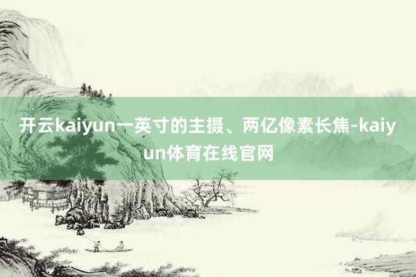 开云kaiyun一英寸的主摄、两亿像素长焦-kaiyun体育在线官网