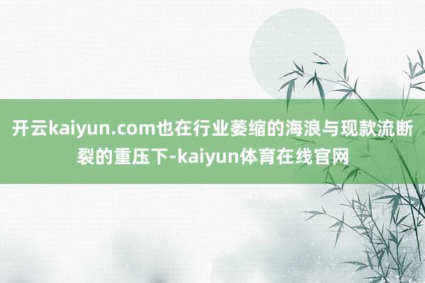 开云kaiyun.com也在行业萎缩的海浪与现款流断裂的重压下-kaiyun体育在线官网